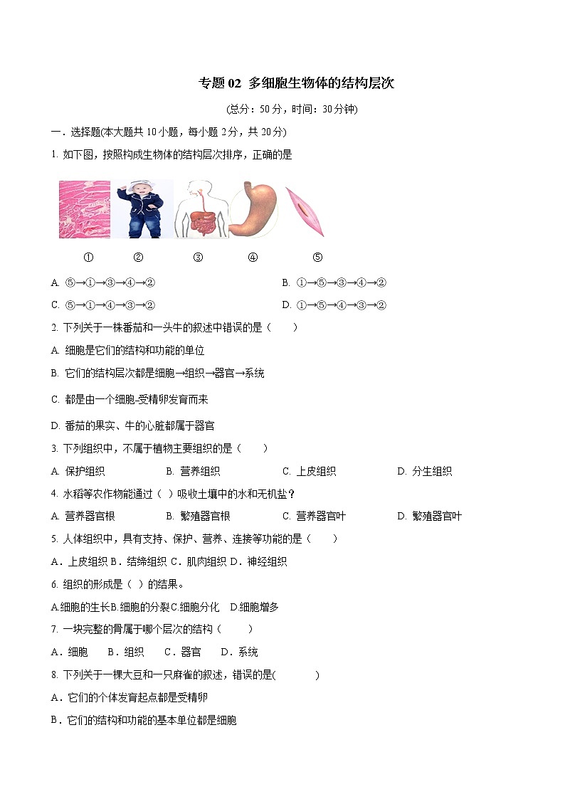 初中生物中考复习 专题02 多细胞生物体的结构层次（原卷版）第1页