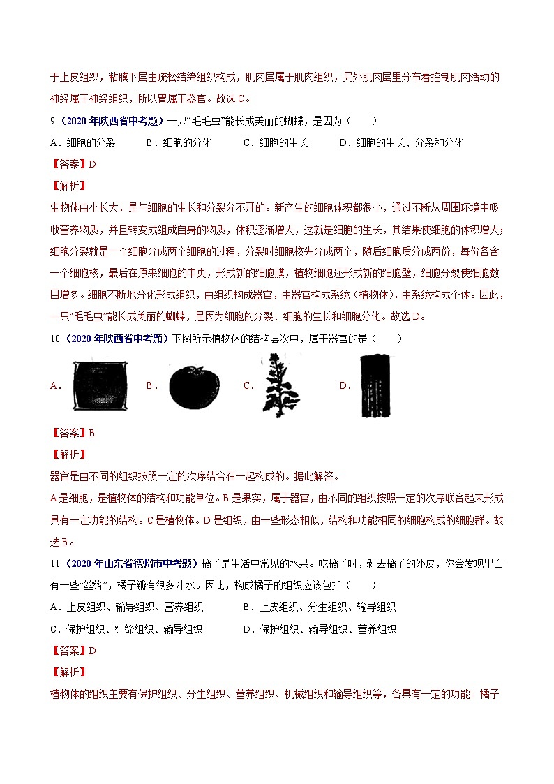 初中生物中考复习 专题02 生物体的结构层次-2020年中考生物真题分项汇编（全国通用）（解析版）03