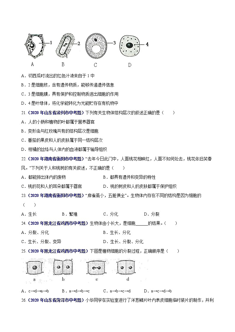 初中生物中考复习 专题02 生物体的结构层次-2020年中考生物真题分项汇编（全国通用）（原卷版）03