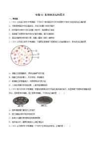 初中生物中考复习 专题02 生物体的结构层次-2021年中考生物真题分项汇编（全国通用）（第1期）（原卷版）