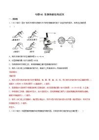 初中生物中考复习 专题02 生物体的结构层次-2022年中考生物真题分项汇编 （全国通用）（解析版）