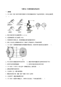 初中生物中考复习 专题02 生物体的结构层次-2022年中考生物真题分项汇编 （全国通用）（原卷版）