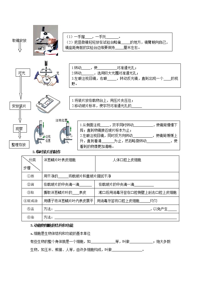 初中生物中考复习 专题02 细胞是生命活动的基本单位（原卷版）第2页