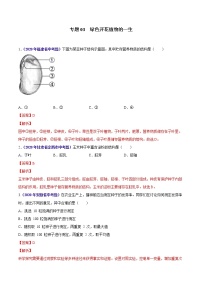 初中生物中考复习 专题03 绿色开花植物的一生-2020年中考生物真题分项汇编（全国通用）（解析版）