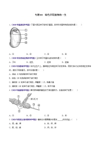 初中生物中考复习 专题03 绿色开花植物的一生-2020年中考生物真题分项汇编（全国通用）（原卷版）