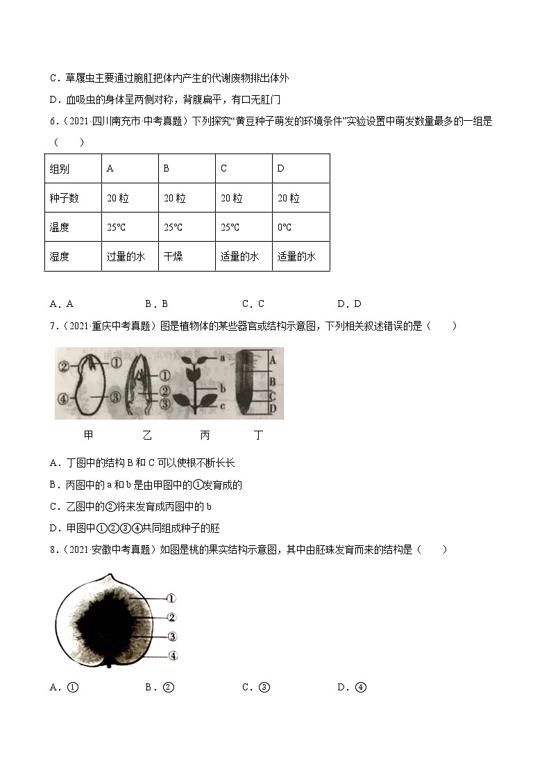 初中生物中考复习 专题03 绿色开花植物的一生-2021年中考生物真题分项汇编（全国通用）（第1期）（原卷版）02