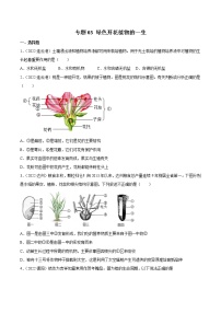 初中生物中考复习 专题03 绿色开花植物的一生-2022年中考生物真题分项汇编 （全国通用）（原卷版）