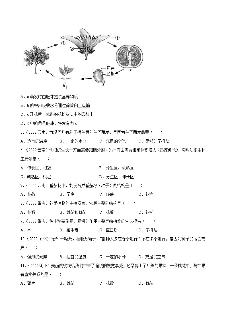 初中生物中考复习 专题03 绿色开花植物的一生-2022年中考生物真题分项汇编 （全国通用）（原卷版）02