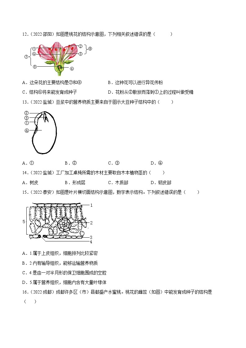 初中生物中考复习 专题03 绿色开花植物的一生-2022年中考生物真题分项汇编 （全国通用）（原卷版）03