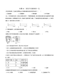 初中生物中考复习 专题03 绿色开花植物的一生-冲刺2020年中考生物易错点集中专项训练（原卷版）