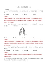 初中生物中考复习 专题03 绿色开花植物的一生-三年（2020-2022）中考生物真题分项汇编（全国通用）（解析版）