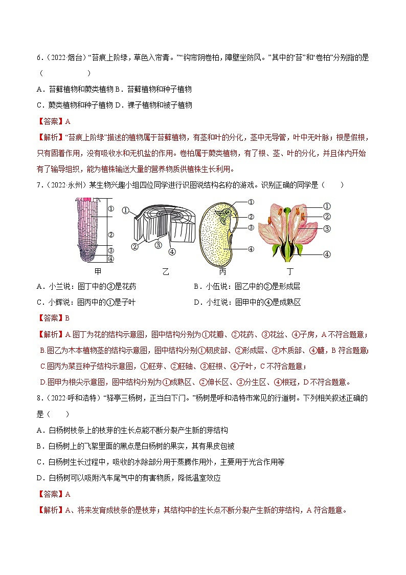 初中生物中考复习 专题03 绿色开花植物的一生-三年（2020-2022）中考生物真题分项汇编（全国通用）（解析版）03
