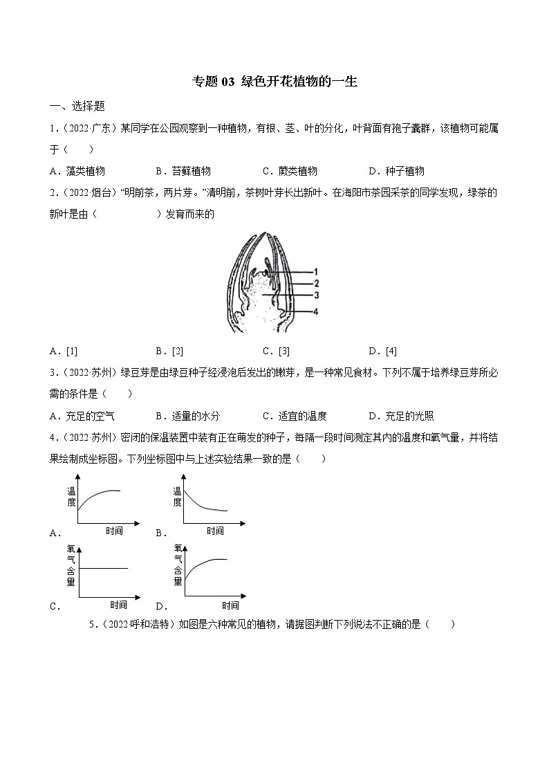初中生物中考复习 专题03 绿色开花植物的一生-三年（2020-2022）中考生物真题分项汇编（全国通用）（原卷版）01