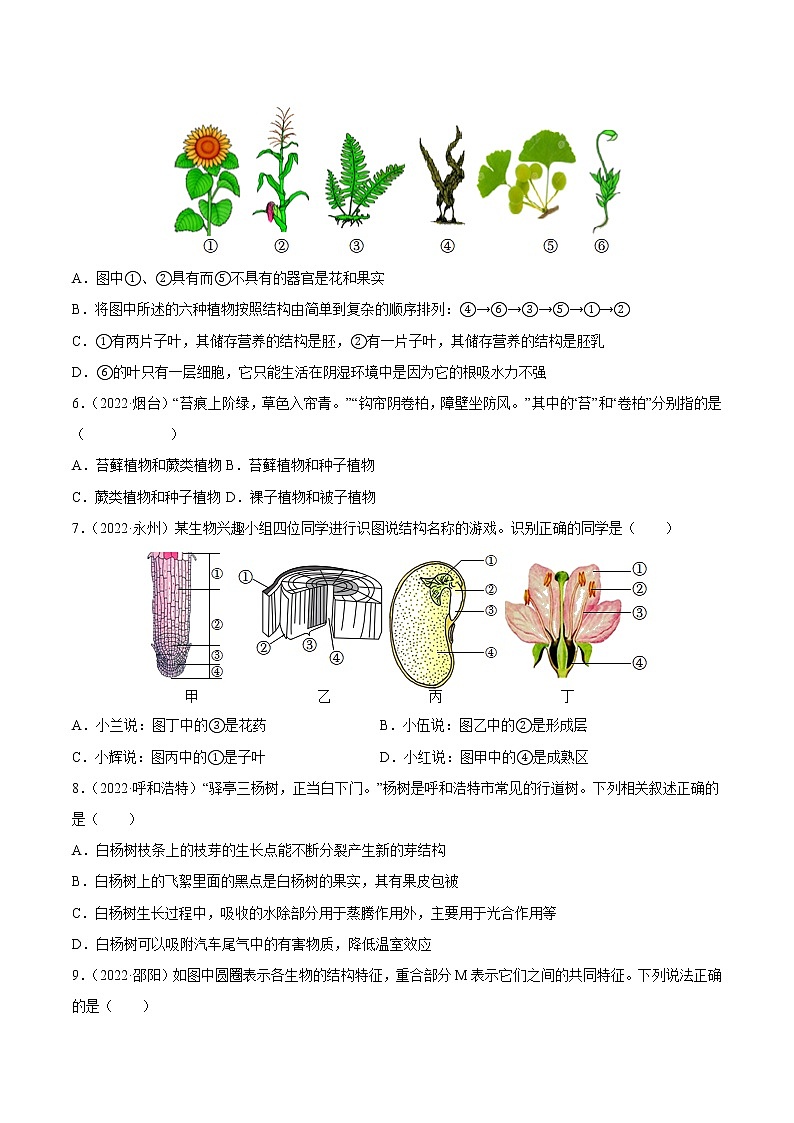 初中生物中考复习 专题03 绿色开花植物的一生-三年（2020-2022）中考生物真题分项汇编（全国通用）（原卷版）02