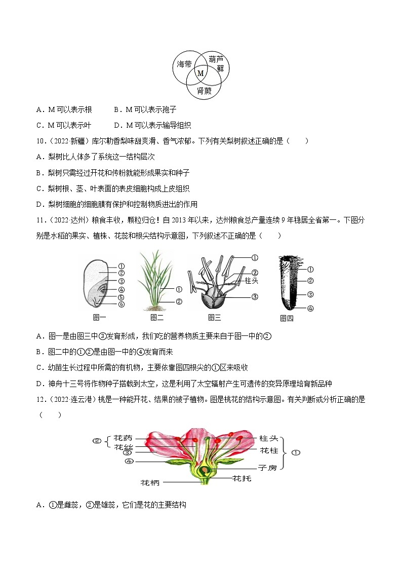 初中生物中考复习 专题03 绿色开花植物的一生-三年（2020-2022）中考生物真题分项汇编（全国通用）（原卷版）03