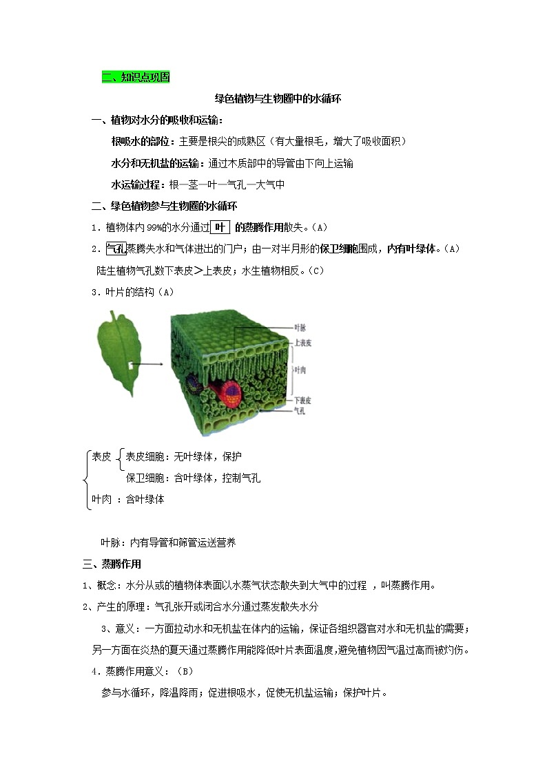 初中生物中考复习 专题03 绿色植物与生物圈中的水循环（解析版）第2页