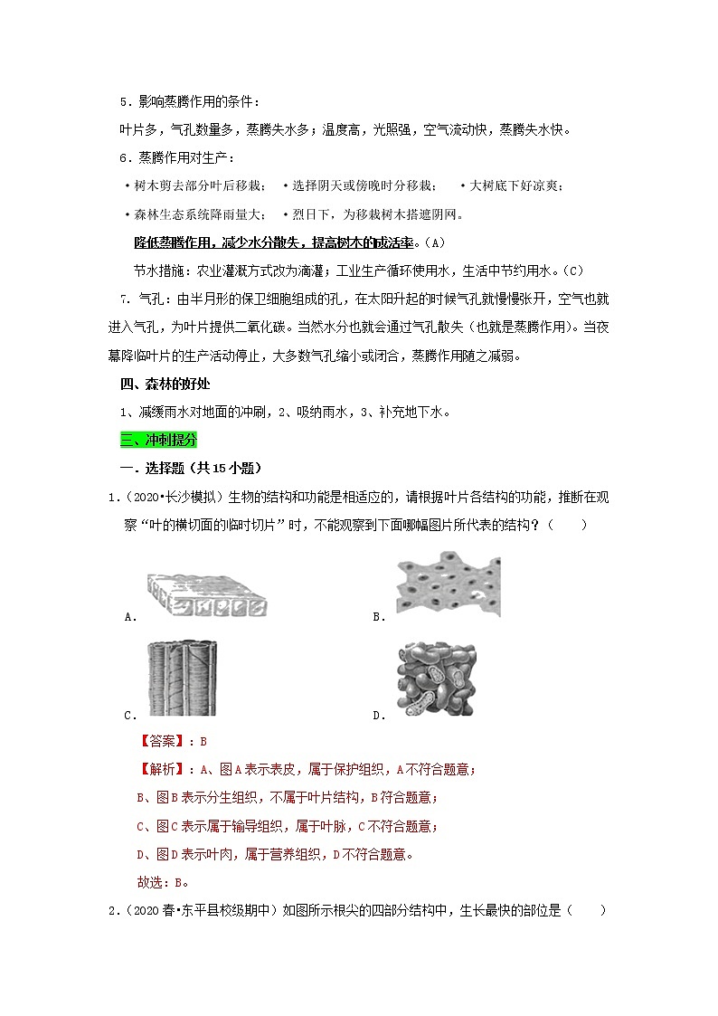 初中生物中考复习 专题03 绿色植物与生物圈中的水循环（解析版）第3页