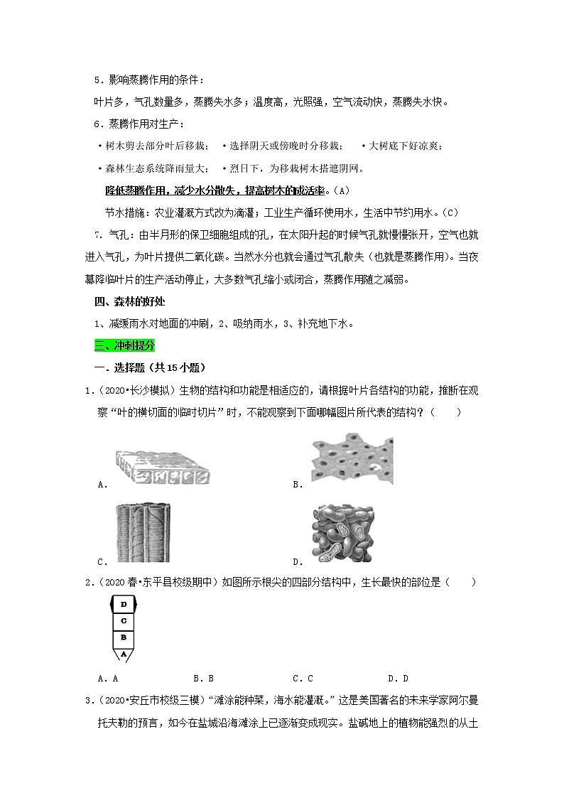 初中生物中考复习 专题03 绿色植物与生物圈中的水循环（原卷版）第3页