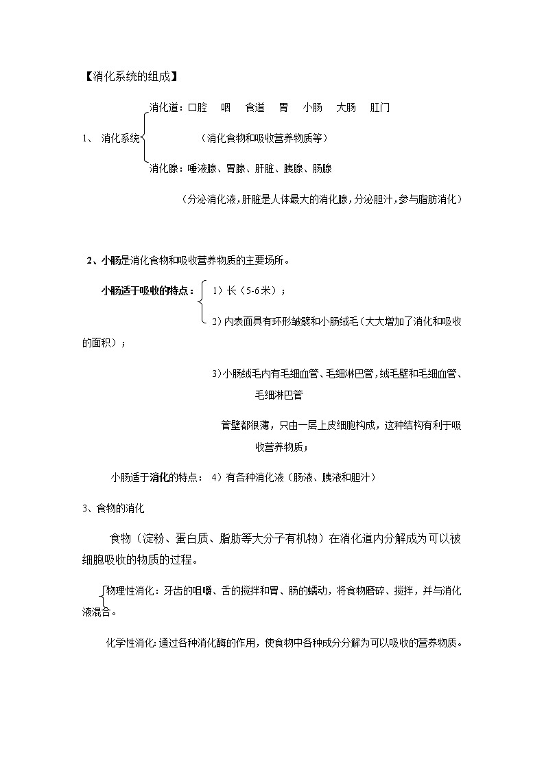 初中生物中考复习 专题03 人类的由来、人体的营养-【口袋书】2020年中考生物必背知识手册（人教版）第3页