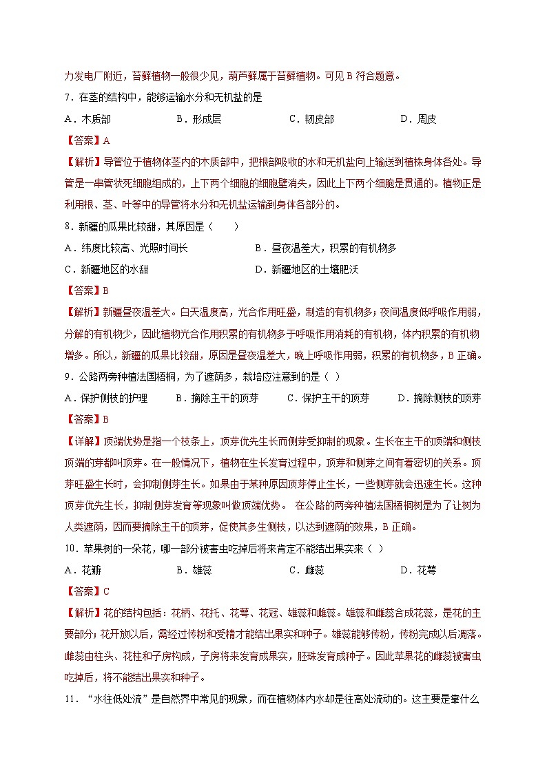 初中生物中考复习 专题03 生物圈中的绿色植物-2020年中考冲刺专题卷（解析版）03