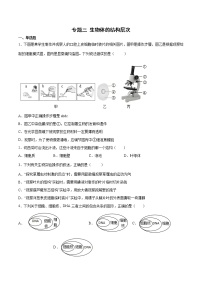 初中生物中考复习 专题03 生物体的结构层次（综合提分练）-【过专题】2022年中考生物二轮精准高效复习（原卷版）