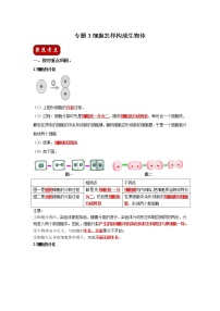 初中生物中考复习 专题03 细胞怎样构成生物体（解析版）