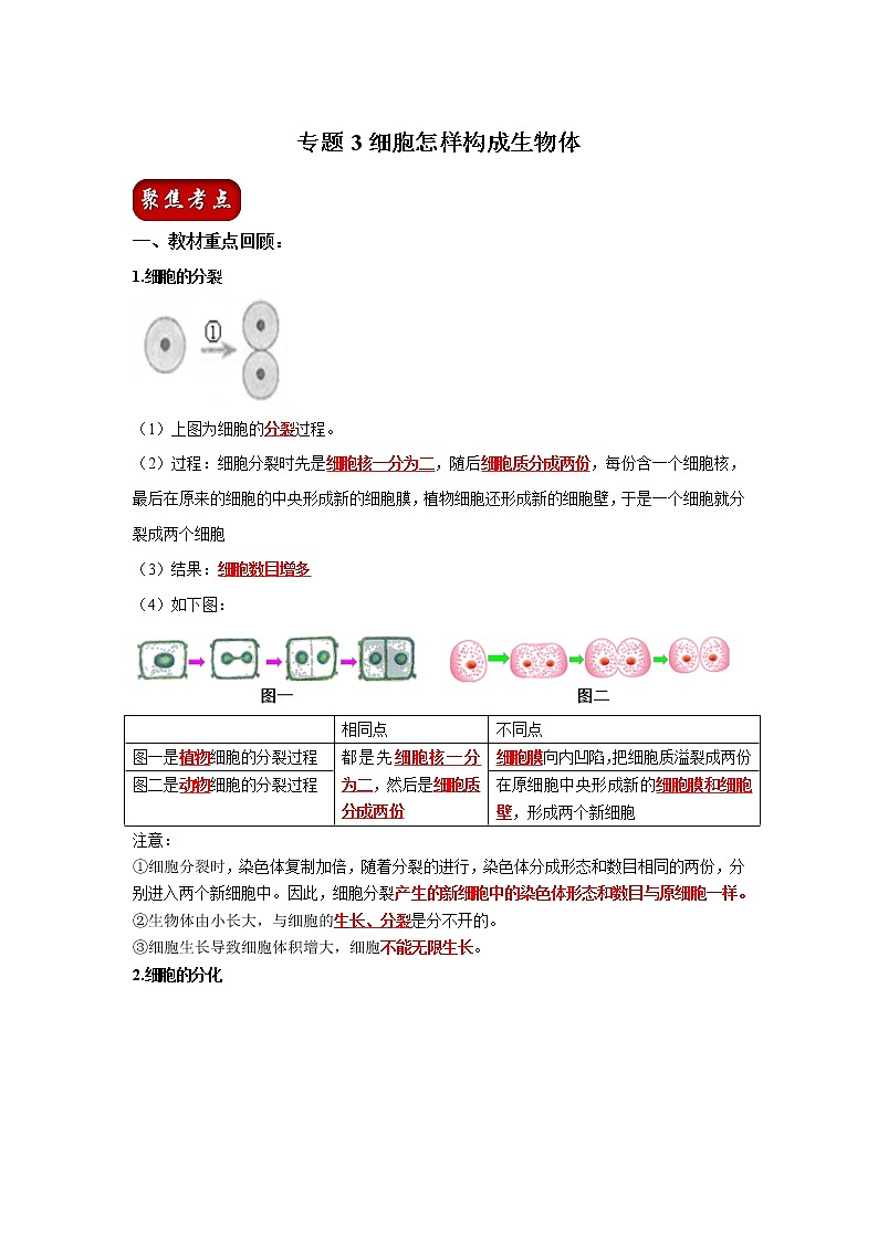 初中生物中考复习 专题03 细胞怎样构成生物体（解析版）第1页