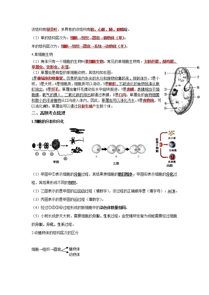 初中生物中考复习 专题03 细胞怎样构成生物体（解析版）第3页