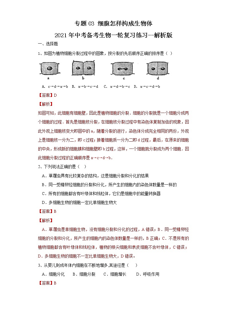 初中生物中考复习 专题03 细胞怎样构成生物体（练习）（解析版）01