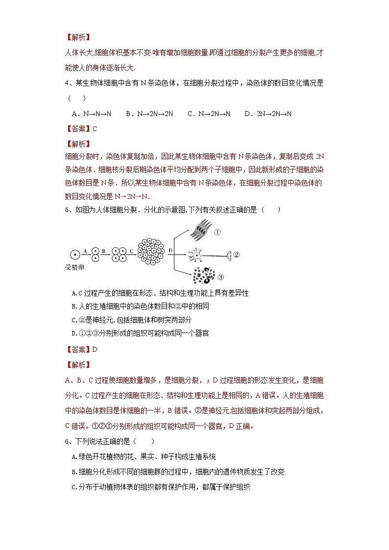 初中生物中考复习 专题03 细胞怎样构成生物体（练习）（解析版）02