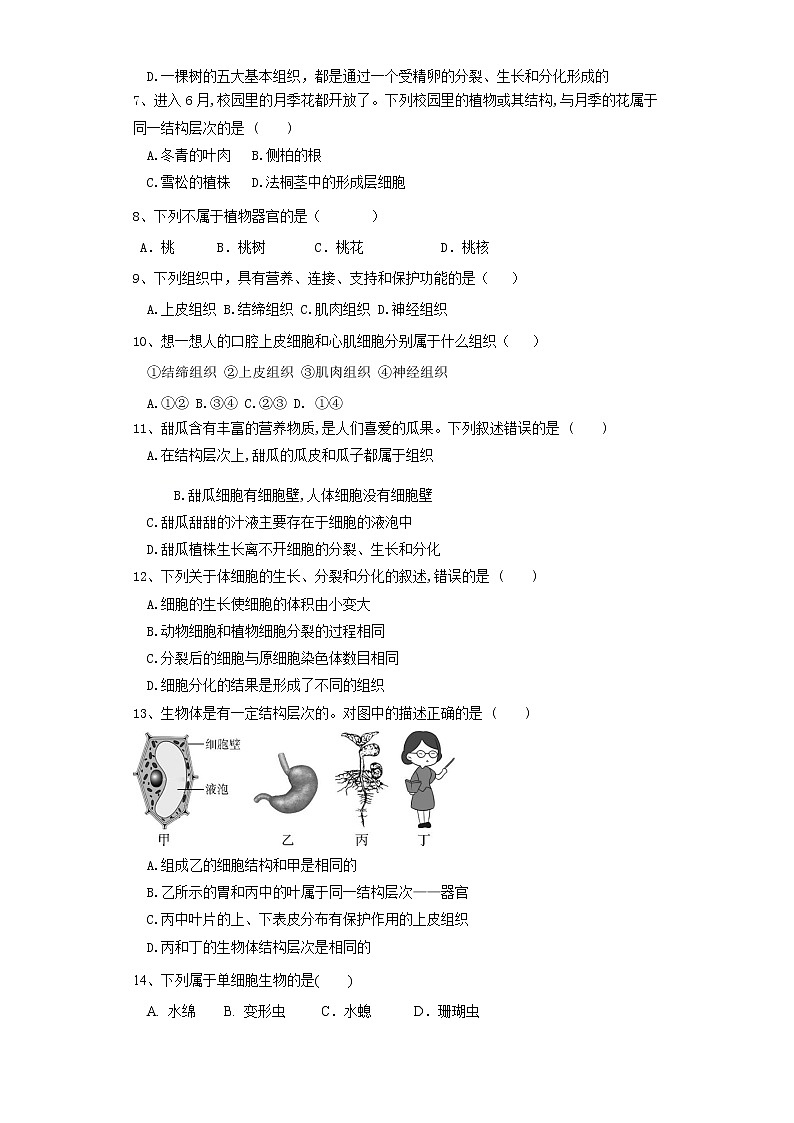 初中生物中考复习 专题03 细胞怎样构成生物体（练习）（原卷版）02