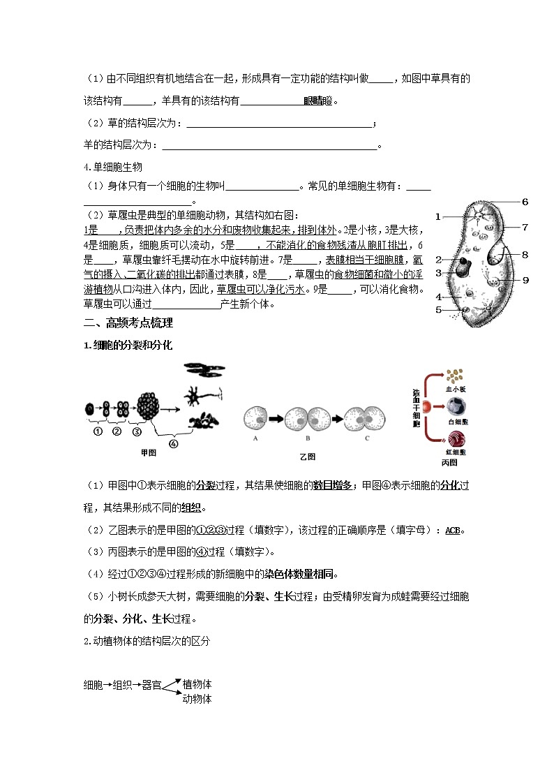 初中生物中考复习 专题03 细胞怎样构成生物体（原卷版）03