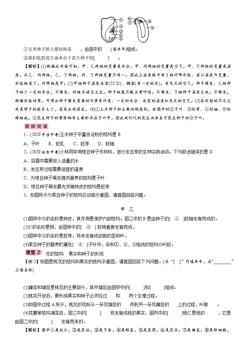 初中生物中考复习 专题3　生物圈中的绿色植物 讲义 2021年中考生物突破复习第2页