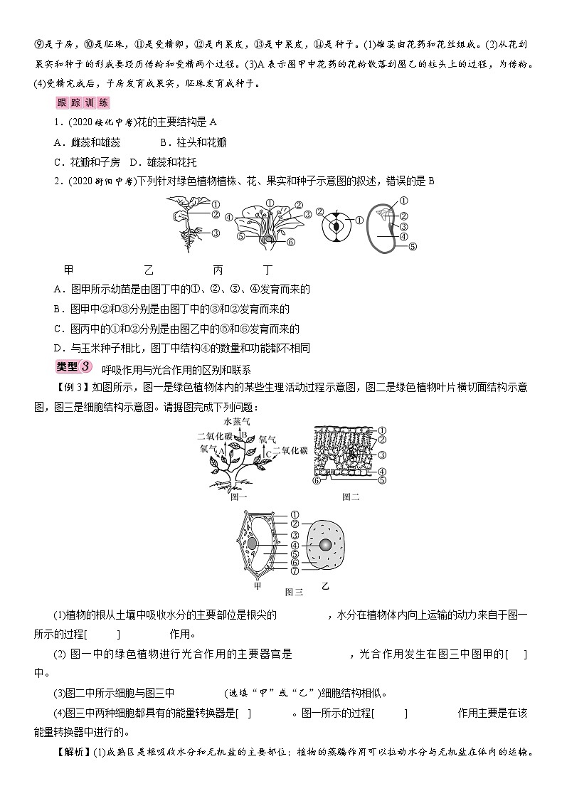 初中生物中考复习 专题3　生物圈中的绿色植物 讲义 2021年中考生物突破复习第3页