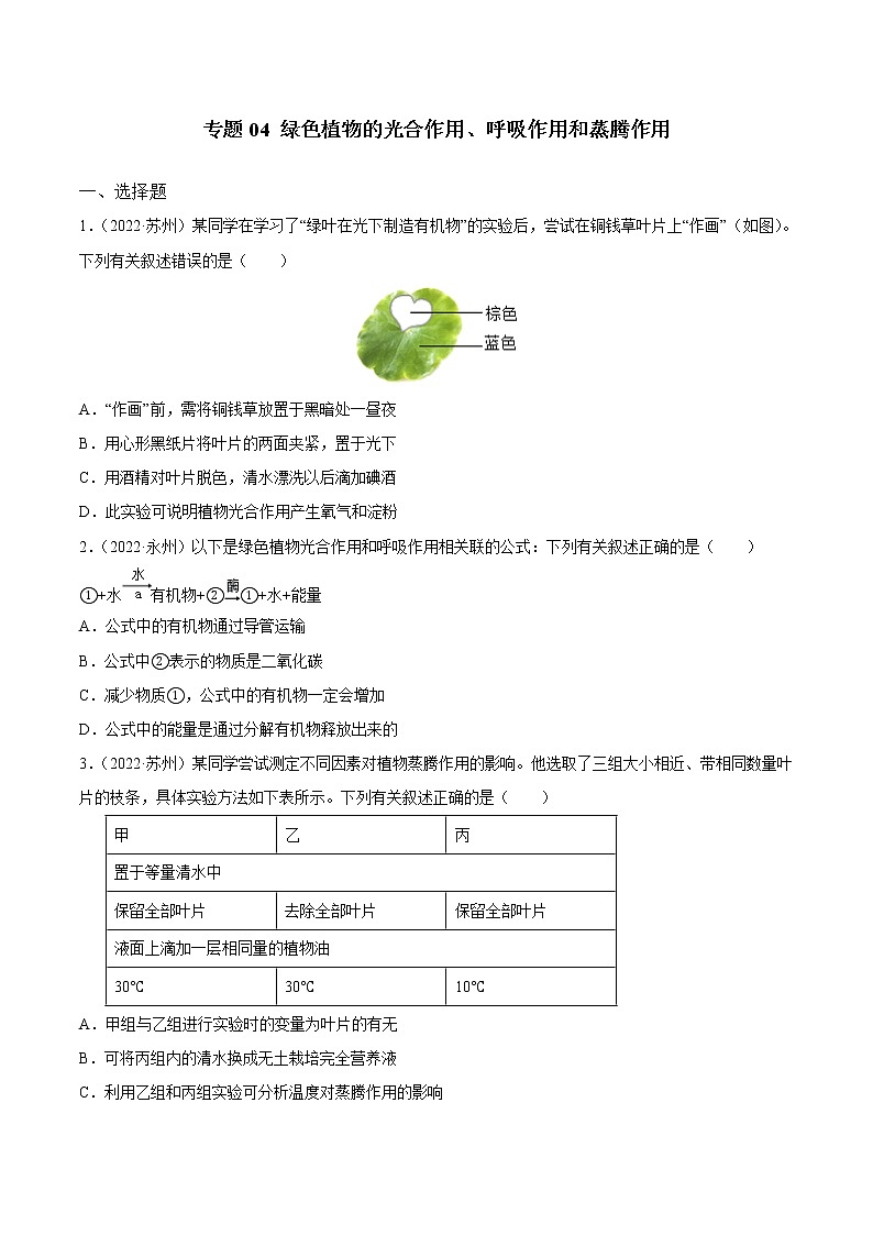 初中生物中考复习 专题04 绿色植物的光合作用、呼吸作用和蒸腾作用-三年（2020-2022）中考生物真题分项汇编（全国通用）（原卷版）01