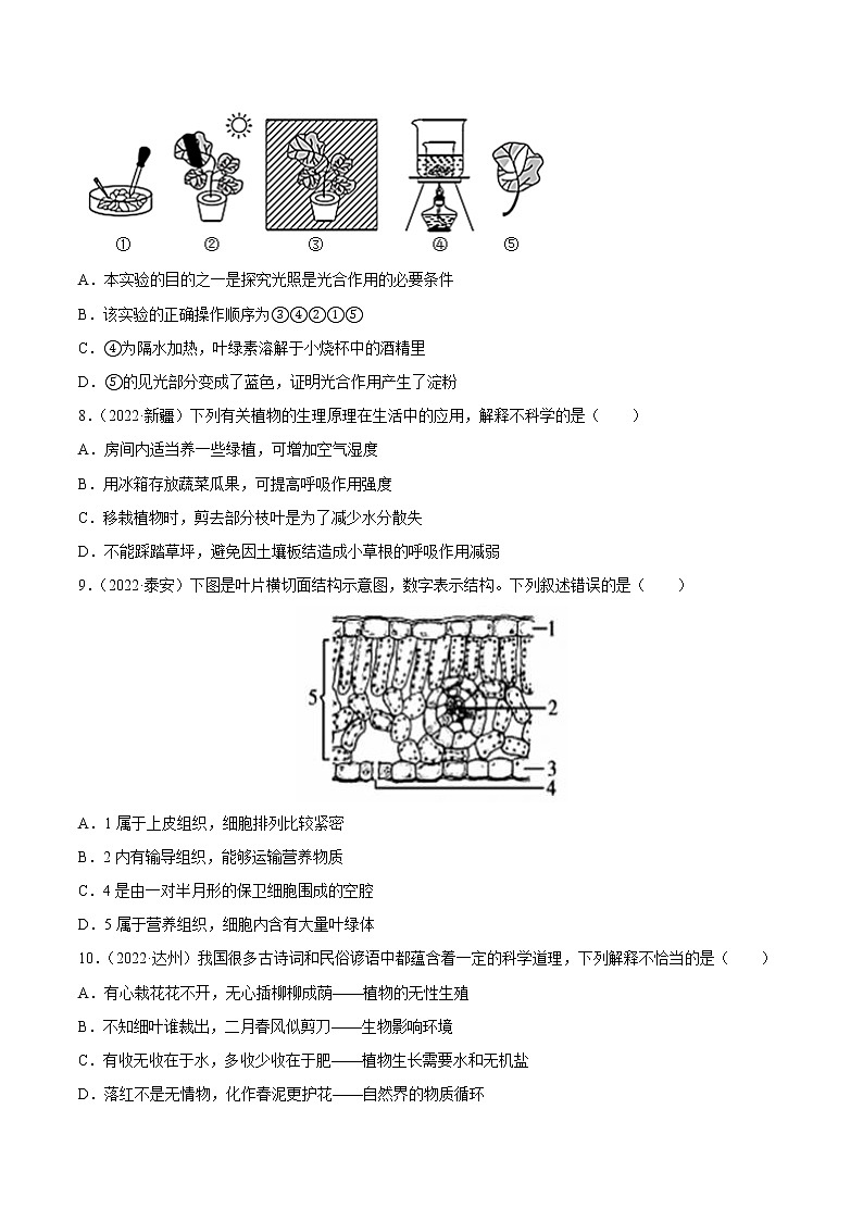 初中生物中考复习 专题04 绿色植物的光合作用、呼吸作用和蒸腾作用-三年（2020-2022）中考生物真题分项汇编（全国通用）（原卷版）03