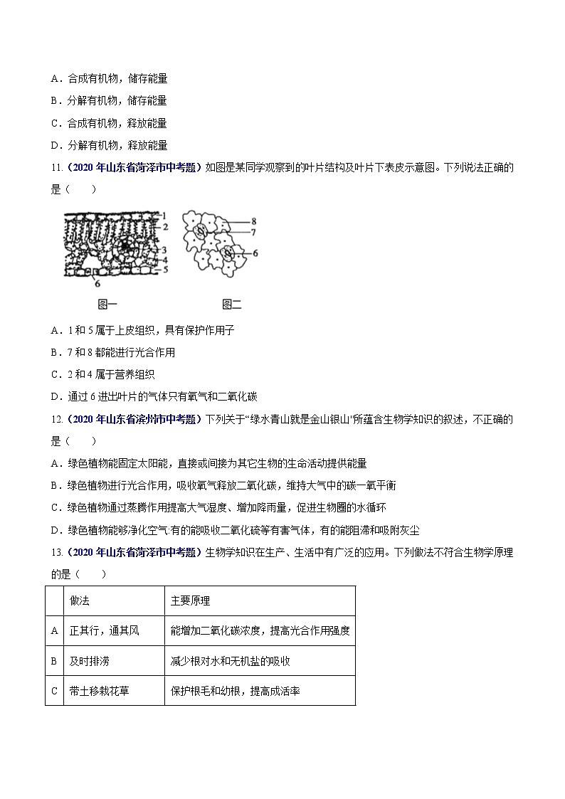 初中生物中考复习 专题04 绿色植物的蒸腾作用、光合作用和呼吸作用-2020年中考生物真题分项汇编（全国通用）（原卷版）第3页