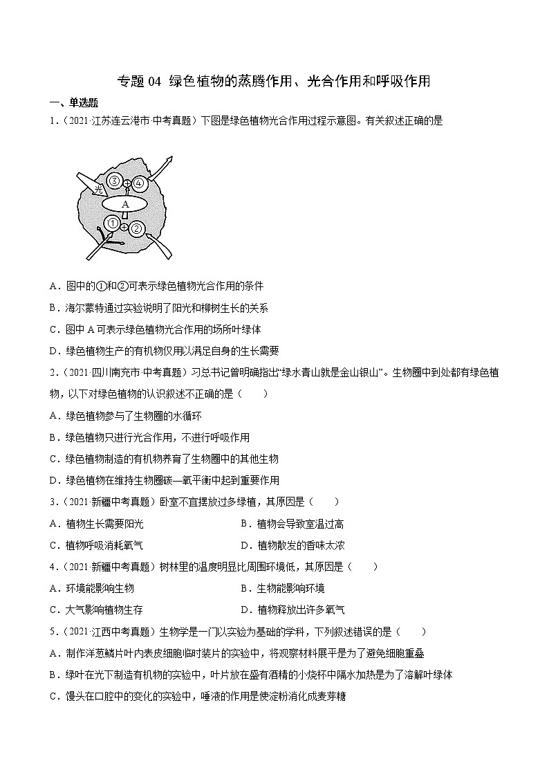 初中生物中考复习 专题04 绿色植物的蒸腾作用、光合作用和呼吸作用-2021年中考生物真题分项汇编（全国通用）（第1期）（原卷版）01