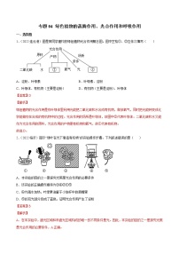 初中生物中考复习 专题04 绿色植物的蒸腾作用、光合作用和呼吸作用-2022年中考生物真题分项汇编 （全国通用）（解析版）