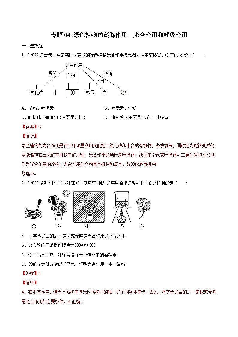 初中生物中考复习 专题04 绿色植物的蒸腾作用、光合作用和呼吸作用-2022年中考生物真题分项汇编 （全国通用）（解析版）01