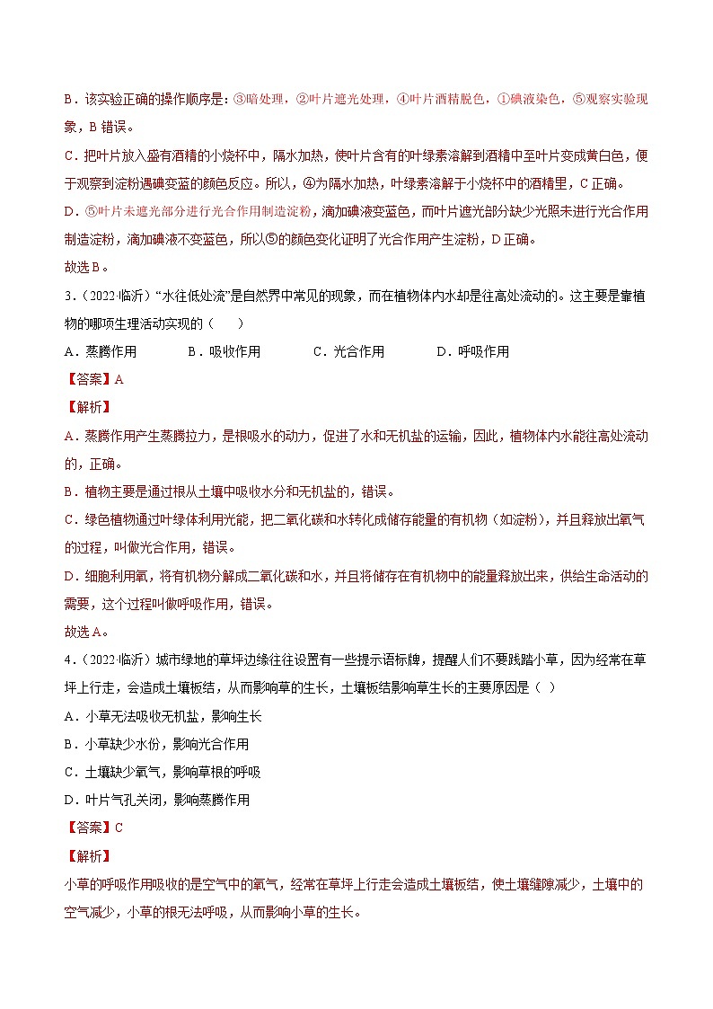 初中生物中考复习 专题04 绿色植物的蒸腾作用、光合作用和呼吸作用-2022年中考生物真题分项汇编 （全国通用）（解析版）02