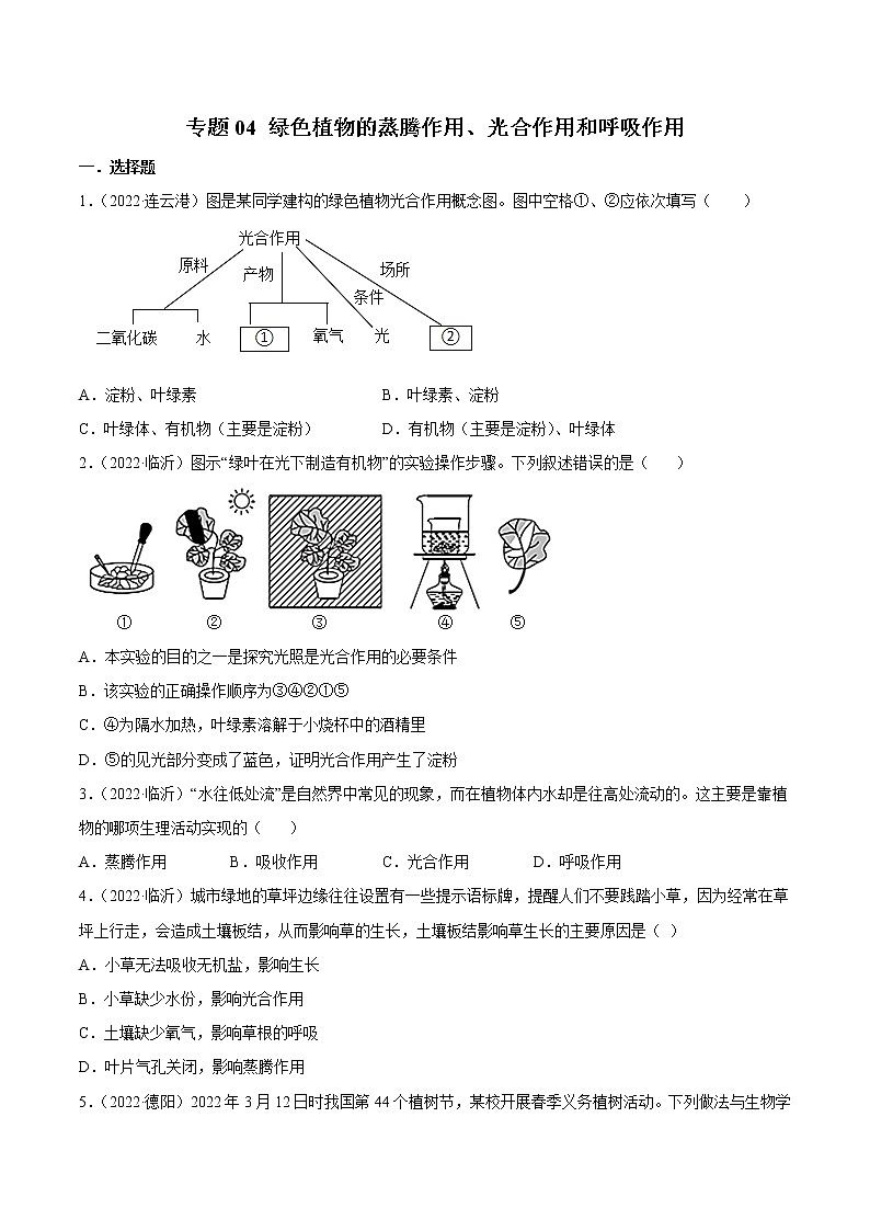 初中生物中考复习 专题04 绿色植物的蒸腾作用、光合作用和呼吸作用-2022年中考生物真题分项汇编 （全国通用）（原卷版）01