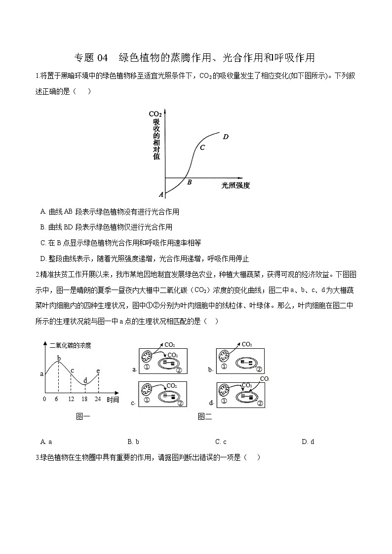 初中生物中考复习 专题04 绿色植物的蒸腾作用、光合作用和呼吸作用-冲刺2020年中考生物易错点集中专项训练（原卷版）第1页