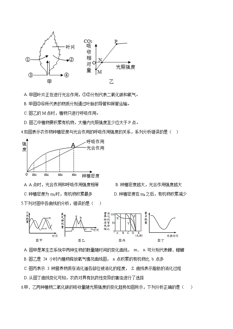 初中生物中考复习 专题04 绿色植物的蒸腾作用、光合作用和呼吸作用-冲刺2020年中考生物易错点集中专项训练（原卷版）第2页
