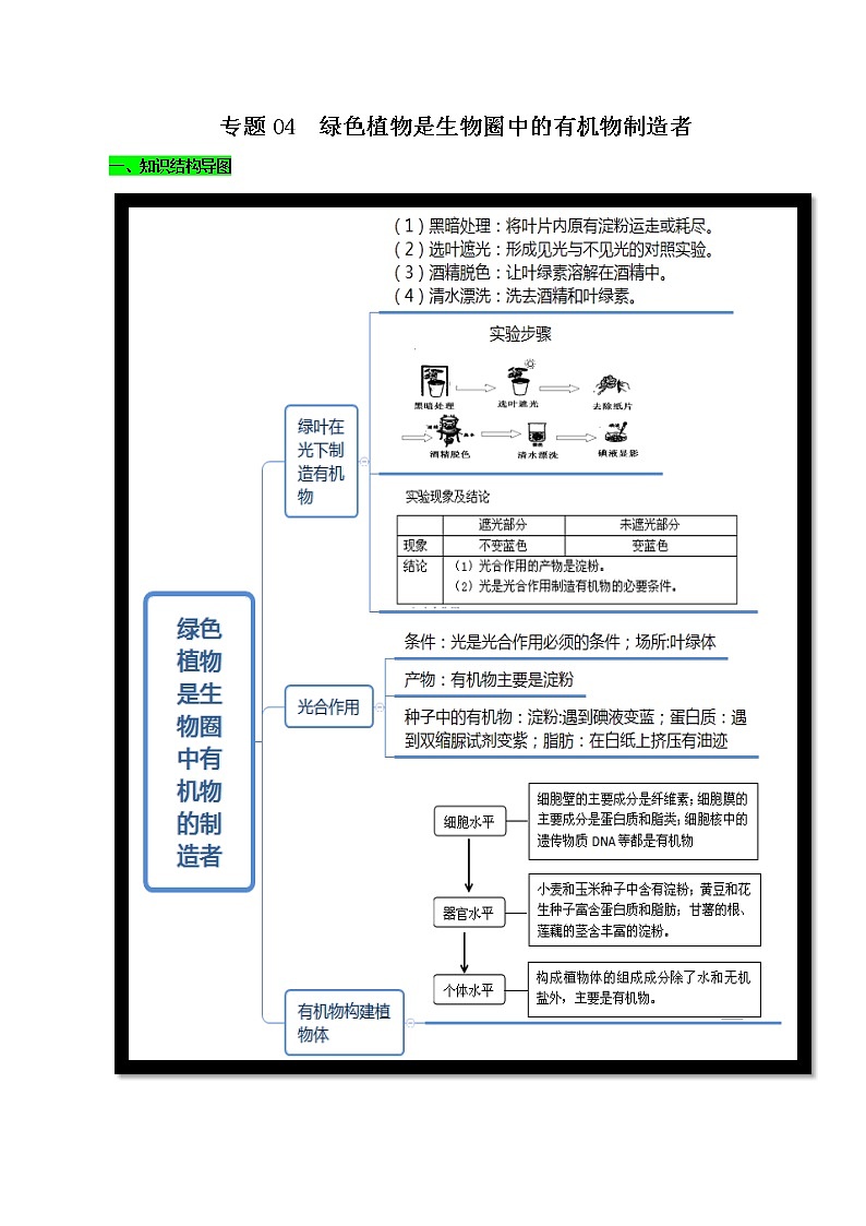 初中生物中考复习 专题04 绿色植物是生物圈中的有机物制造者（原卷版）第1页