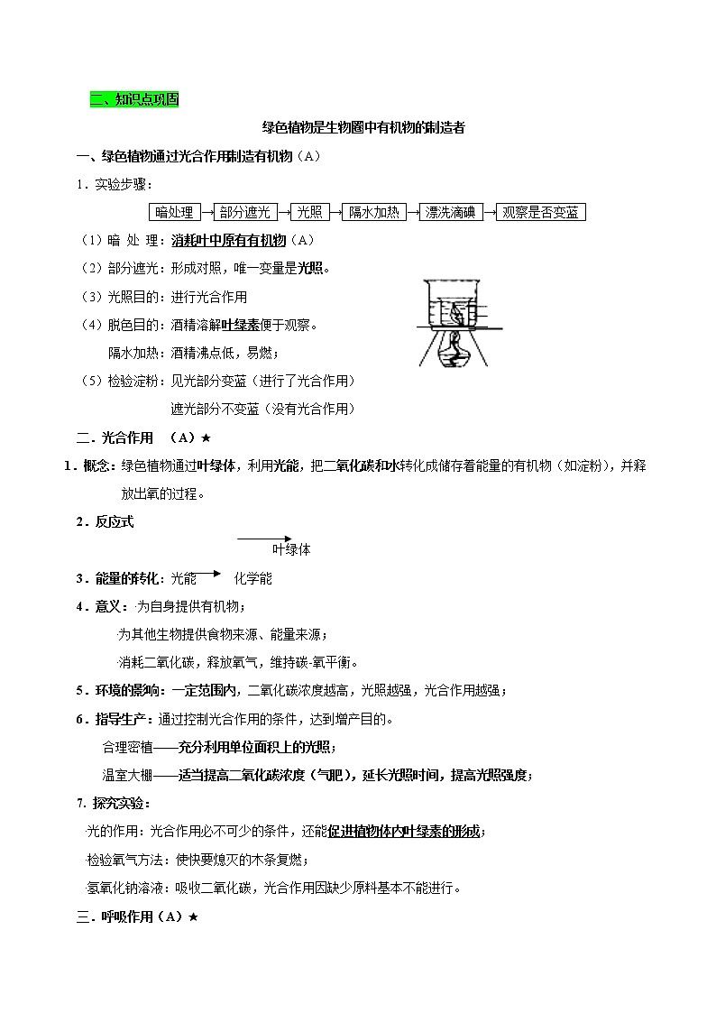 初中生物中考复习 专题04 绿色植物是生物圈中的有机物制造者（原卷版）第2页