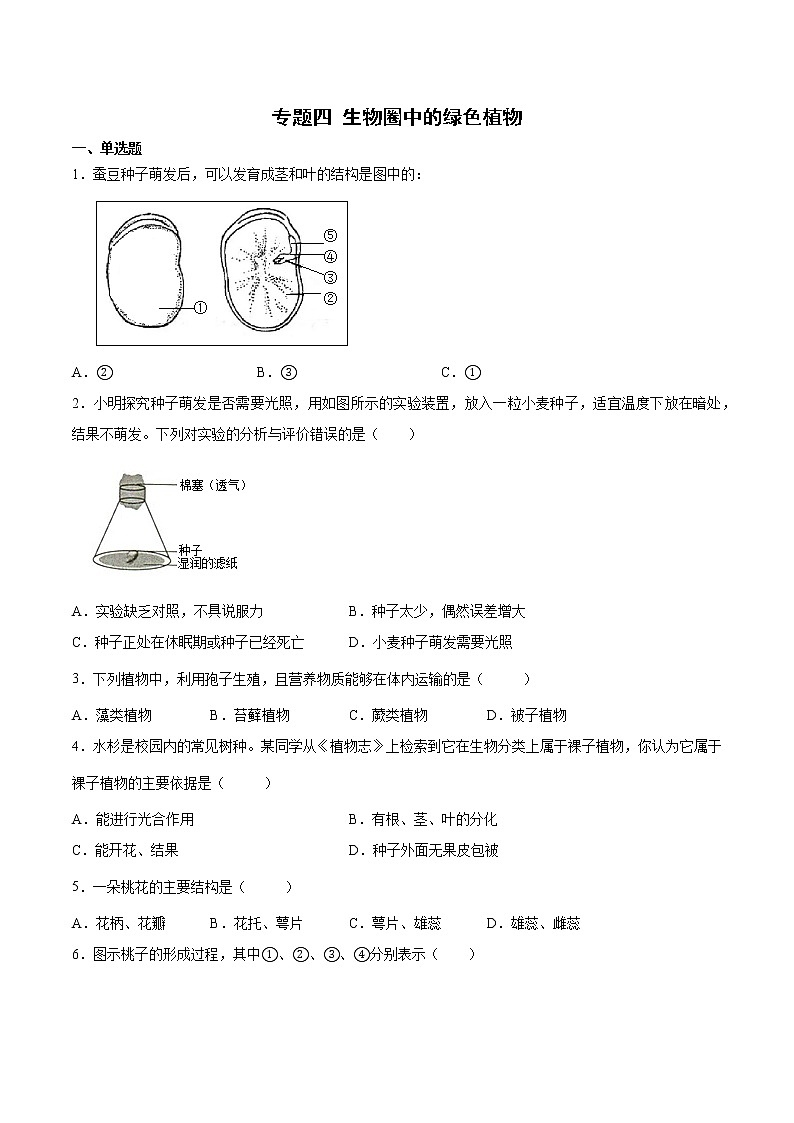 初中生物中考复习 专题04 生物圈中的绿色植物（综合提分练）-【过专题】2022年中考生物二轮精准高效复习（原卷版）第1页