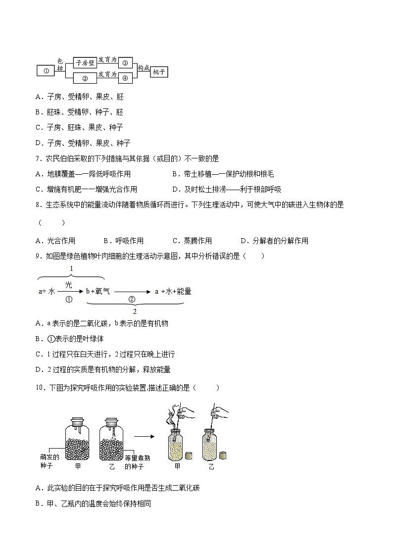 初中生物中考复习 专题04 生物圈中的绿色植物（综合提分练）-【过专题】2022年中考生物二轮精准高效复习（原卷版）第2页