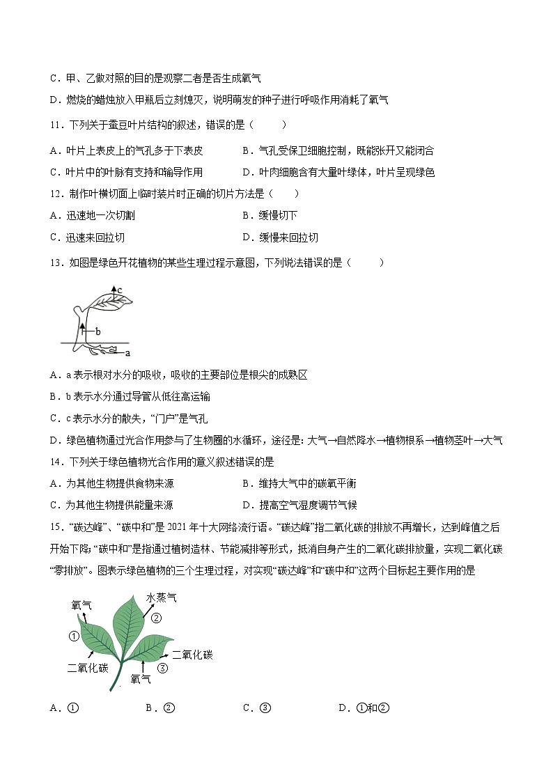 初中生物中考复习 专题04 生物圈中的绿色植物（综合提分练）-【过专题】2022年中考生物二轮精准高效复习（原卷版）第3页