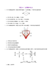 初中生物中考复习 专题04 生物圈中的人（第01期）-2019年中考真题生物试题分项汇编（原卷版）